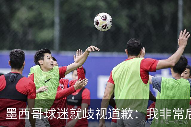 墨西哥球迷就歧视道歉：我非常后悔，已辞去工程师协会职务